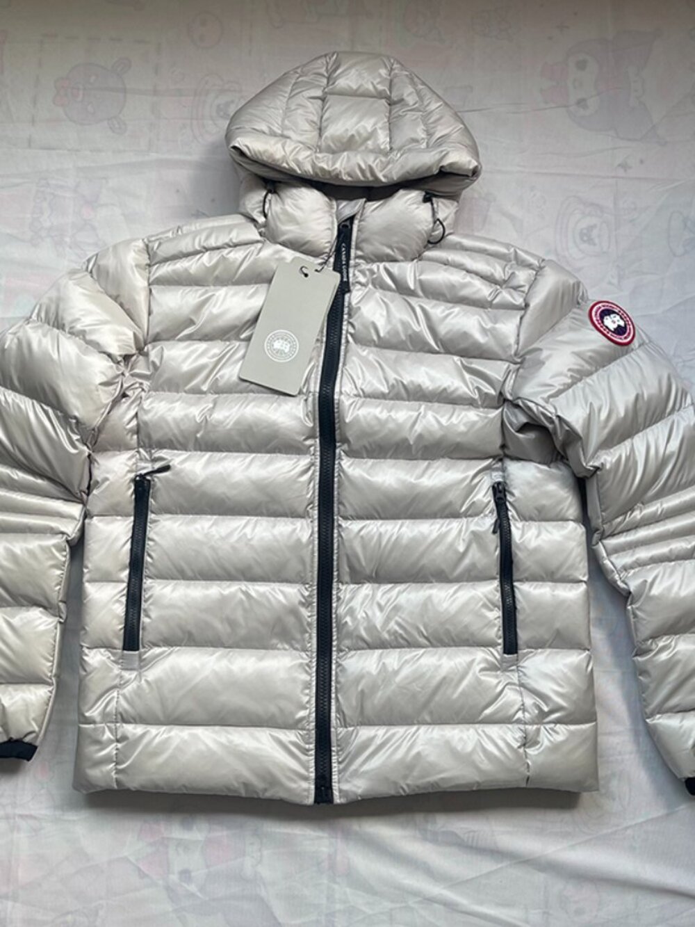 Canada Goose Men's Light Gray Puffer Jacket